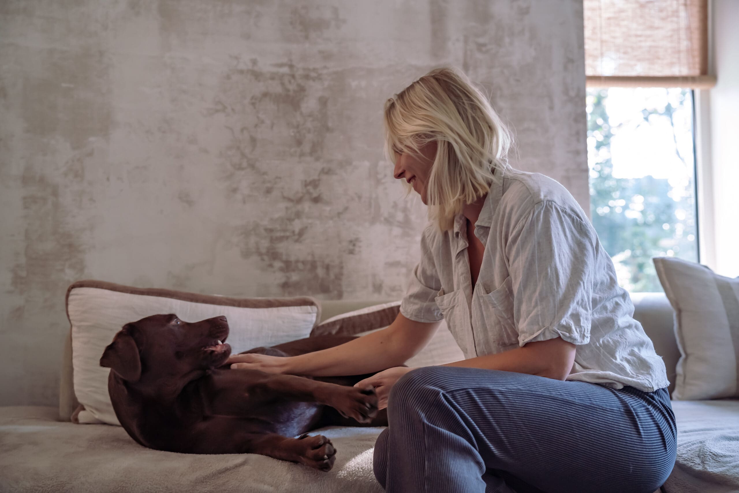 Reiki behandeling voor honden