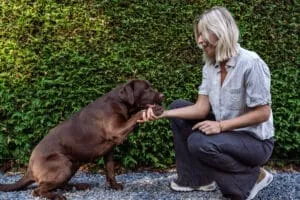Hoe dieren ons spiegelen