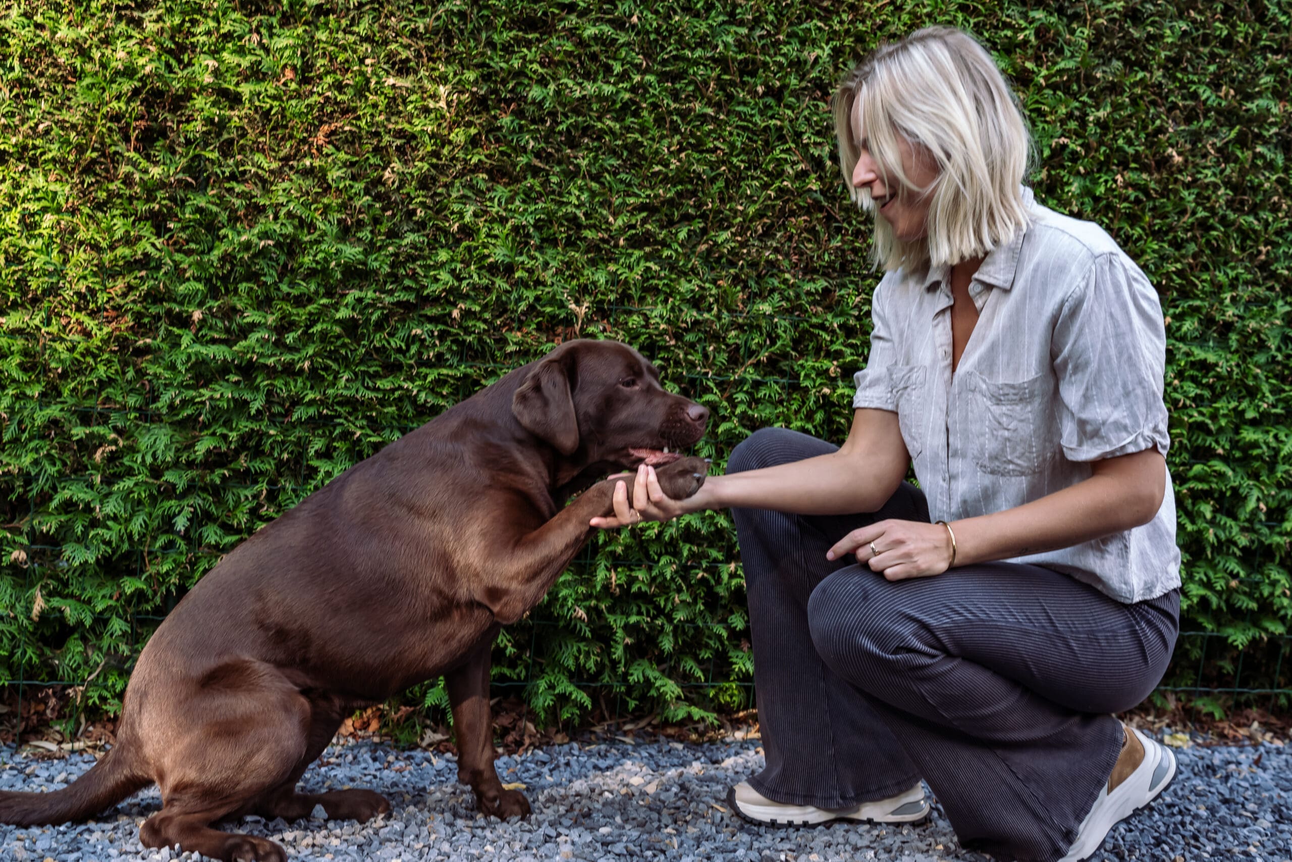 Communiceren met honden in Meppel