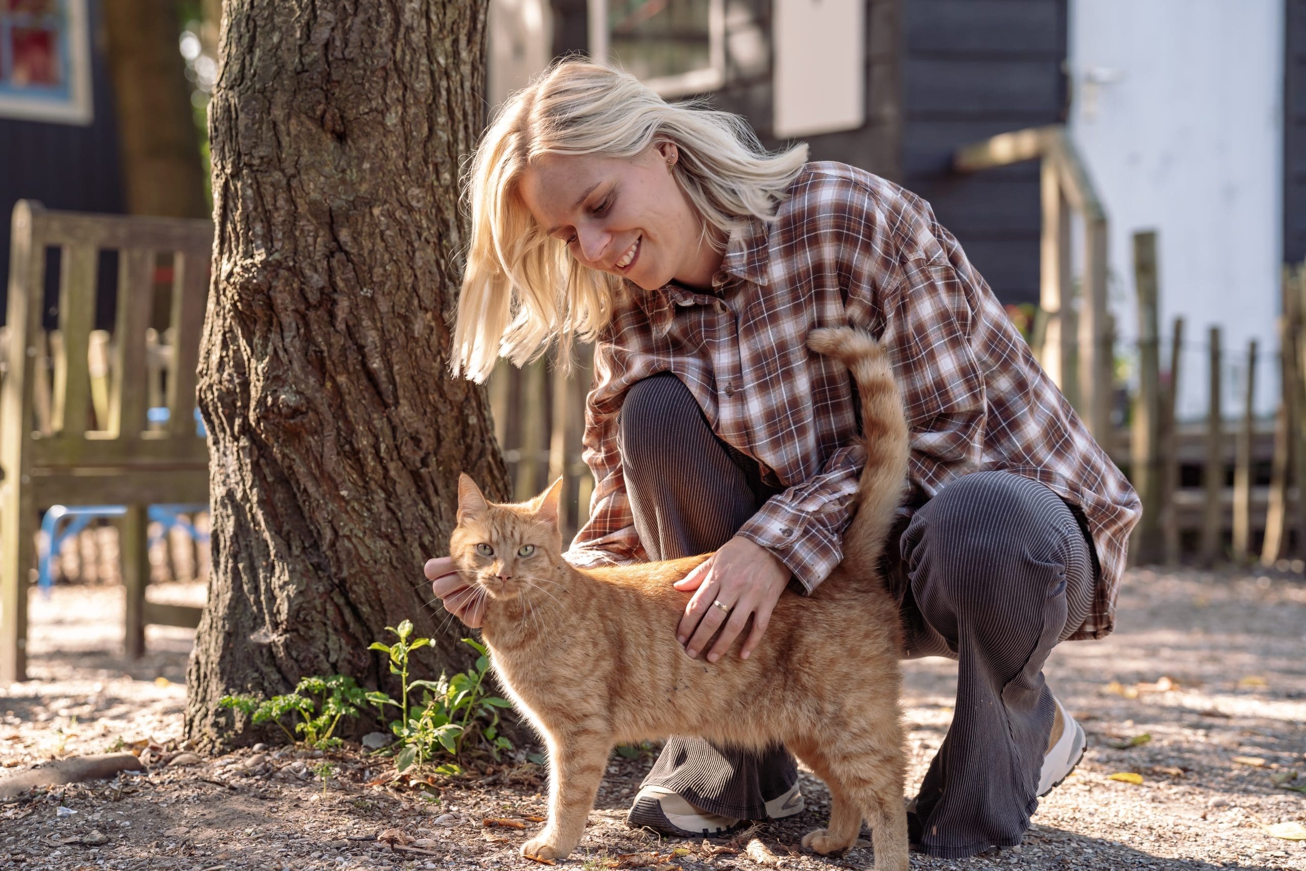 Healing en reading voor katten